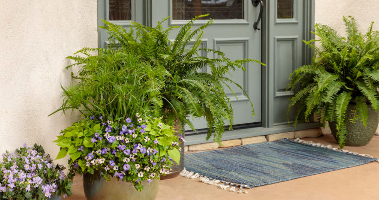 How to Arrange Mixed-Height Planters at Your Entrance