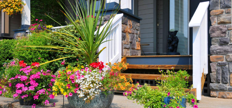 Best Low-Maintenance Plants for Entrance Planters