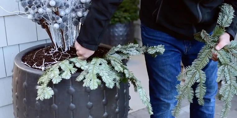 How to Keep Entrance Planters Looking Fresh Year-Round