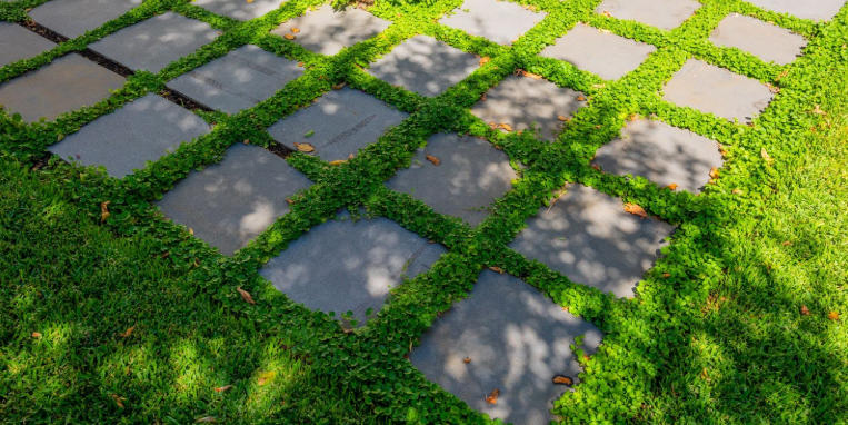 Front Door Decor Tips for Narrow Pathways