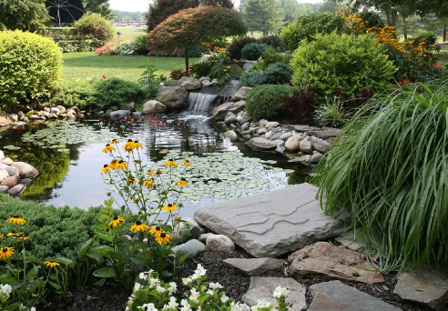 Creating Harmony Between Sculpture and Pathway Plants