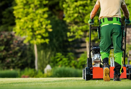 Trusted Pet Safe Lawn Care Companies Reviewed