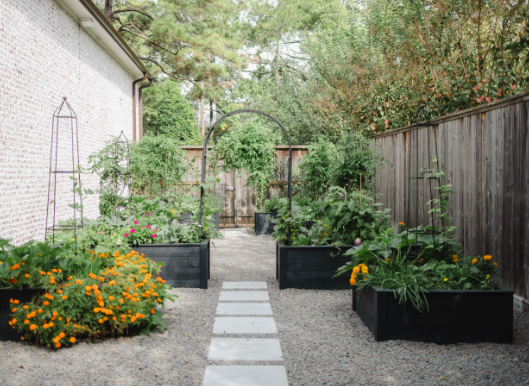 Modern Planter Placement Tips for Pathway Design