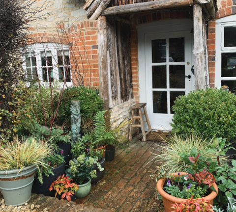 Choosing Seasonal Planters for Your Front Door