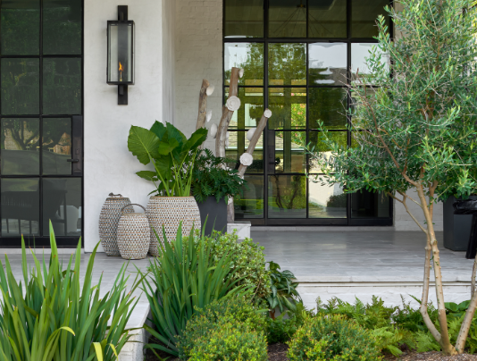 Best Plants for Front Door Planters