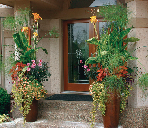 Using Oversized Planters for Dramatic Entry Decor