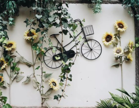 Decorating outdoor walls with plants