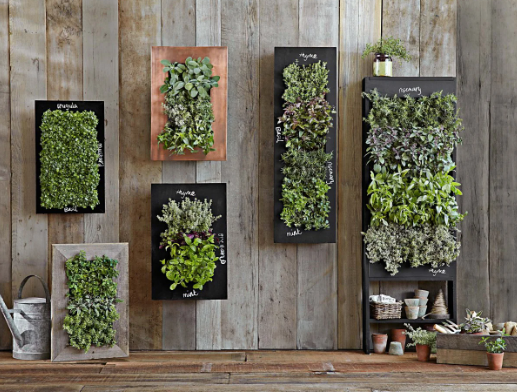 Vertical garden wall decor inspiration