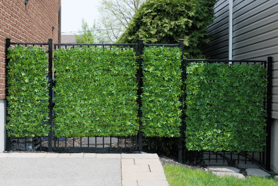 Outdoor wall decor for privacy enhancement
